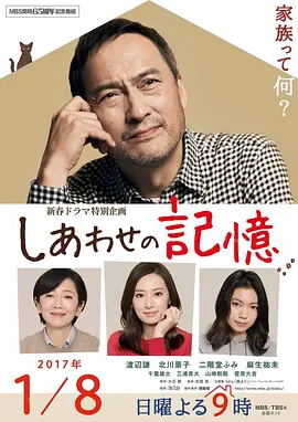 幸福的记忆(2017)