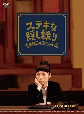 了不起的窃照：完美的接待员(2011)