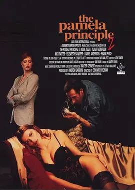 勾引我：帕梅拉原则2(1994)