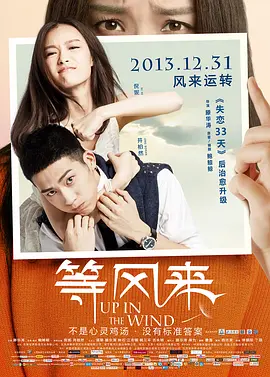 等风来(2013)