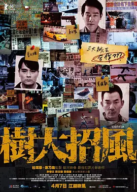 树大招风(2016)