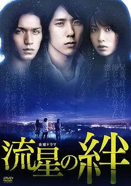流星之绊(2008)