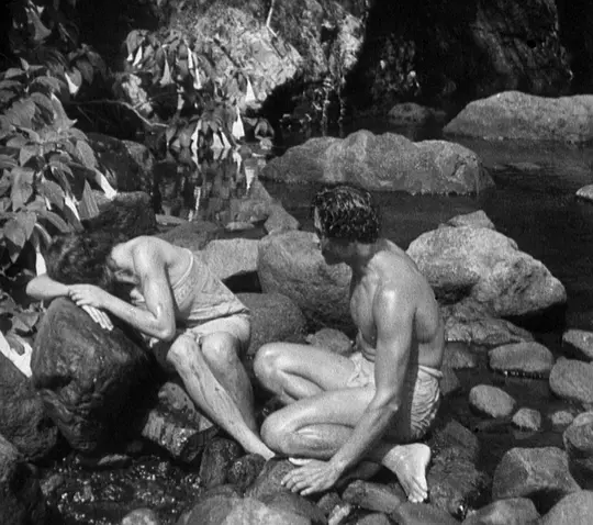 第4届奥斯卡金像奖 (1932)