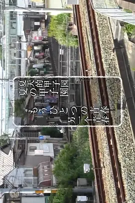 纪录72小时 夏天的甲子园 另一个青春(2017)