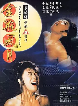 金瓶风月(1991)