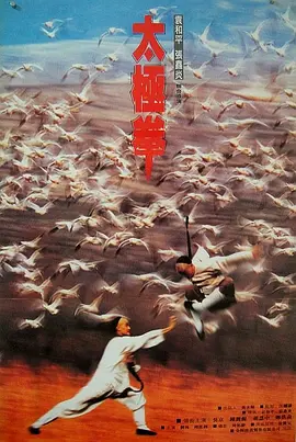 功夫小子闯情关(1996)