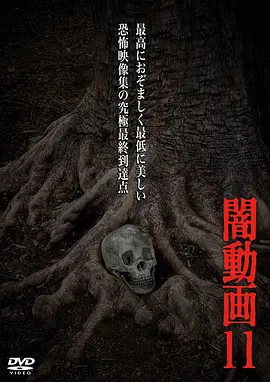 黑暗视频11(2014)
