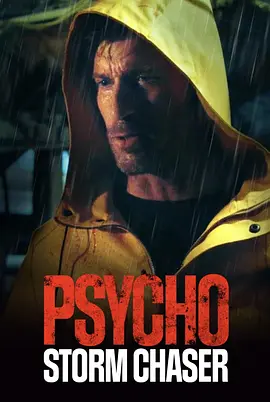 心理风暴追逐者(2021)