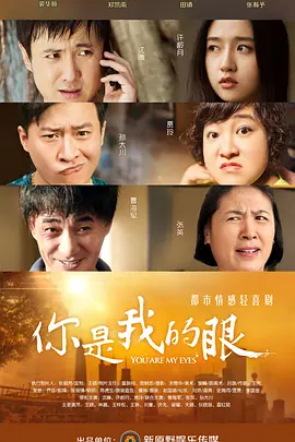 你是我的眼(2015)
