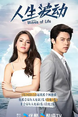 人生波动(2017)
