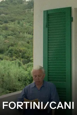 弗尔蒂尼和卡尼(1977)