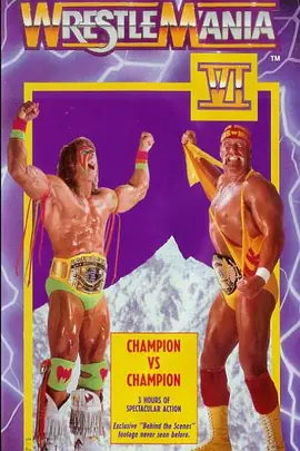 摔角狂热 6(1990)