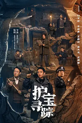 护宝寻踪(2025)