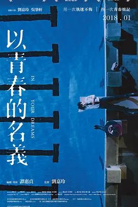 以青春的名义(2017)