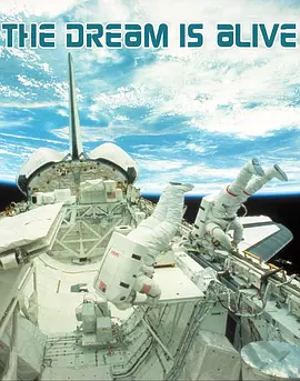 执着的梦想(1985)