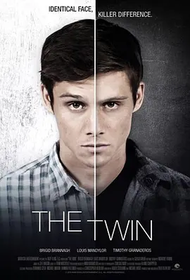 The Twin(2017)