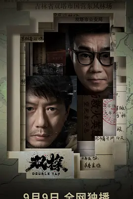 双探(2021)