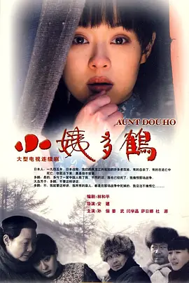 小姨多鹤(2009)