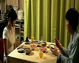 奇异夫妇(2005)
