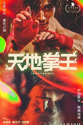 天地拳王(2024)