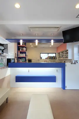 纪实72小时 城市不眠的动物医院(2014)