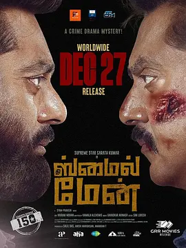 微笑的男人(2024)