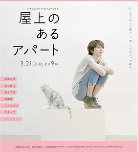 屋顶的公寓(2011)