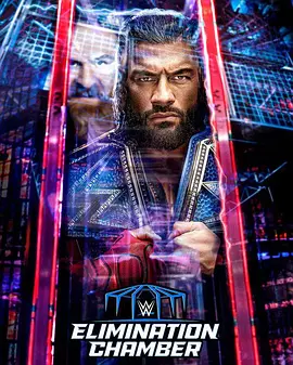 WWE：铁笼密室 2023(2023)