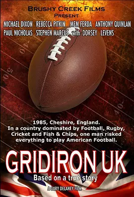 橄榄球之梦(2016)