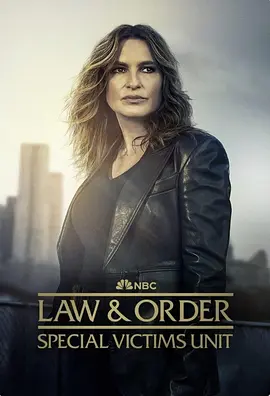 法律与秩序：特殊受害者(1999 - 2025)