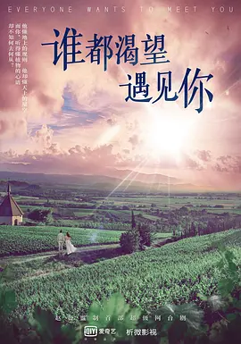 谁都渴望遇见你(2020)