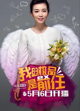 极品女士(2013 - 2015)