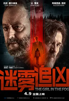 迷雾追凶(2017)