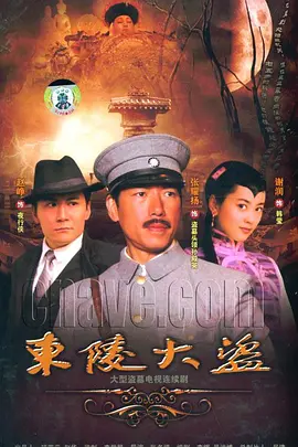 东陵大盗(2008)