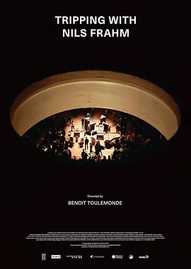 情迷尼尔斯•弗拉姆(2020)