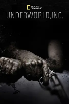 黑市大企业(2015)