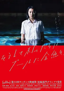 就这样，我们把金鱼放入了泳池(2017)