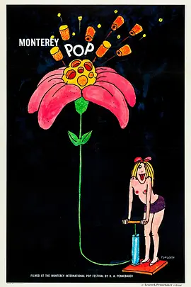 蒙特雷流行音乐节(1968)