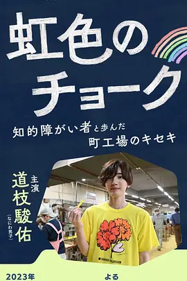 彩虹色的粉笔 与智力障碍人士同行的小镇工厂的奇迹(2023)