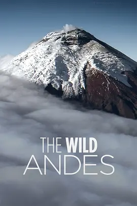 安第斯山脉(2018)