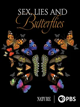 Sex, Lies and Butterflies(2018)
