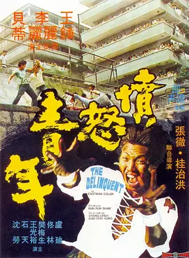愤怒青年(1973)
