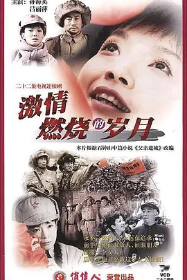激情燃烧的岁月(2001)
