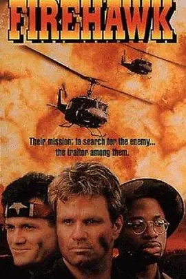 火之鹰(1993)