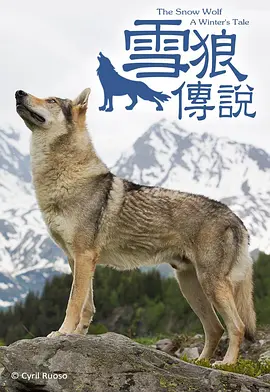 雪中雌狼：冬日传说(2018)