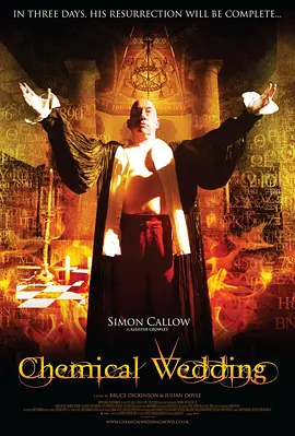 化学婚姻(2008)