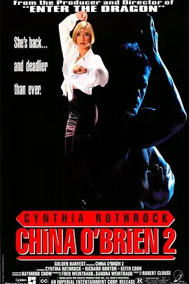 罪恶判官续集(1991)