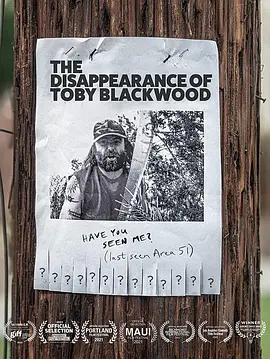 The Disappearance of Toby Blackwood(2022)