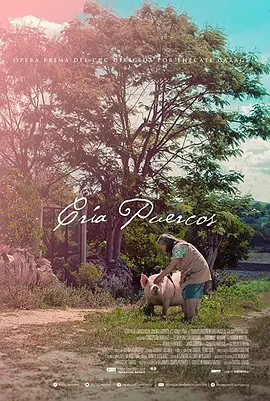 奶奶养的猪(2018)