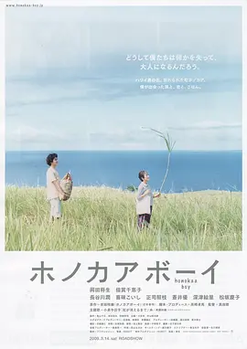 夏威夷男孩(2009)